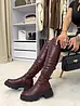 Wine čižmy nad kolená IZAYA